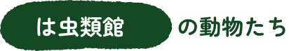 は虫類館エリア