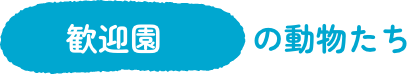歓迎園エリア