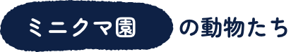 ミニクマ園エリア