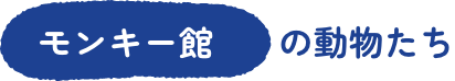 モンキー館エリア
