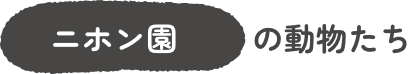 ニホン園エリア